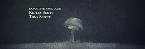 company.jpg