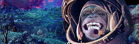 monkey.jpg