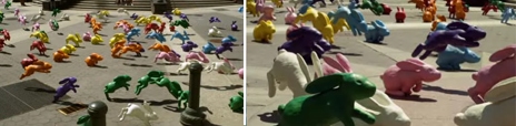 rabbits.jpg