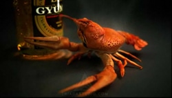 lilit-hayrapetyan