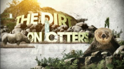 akf_thedirt