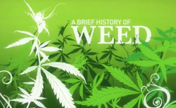 weeds