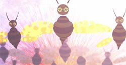 polymorphia