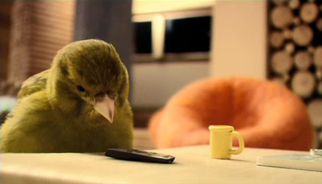 robinsons_birdhouse