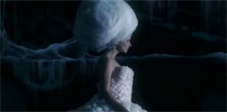 white-swan