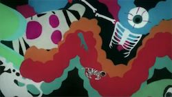 mint chicks hot on your heels