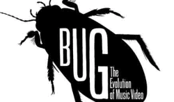 bug