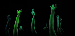 WAVES