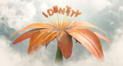 identity