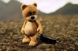 luna_bear