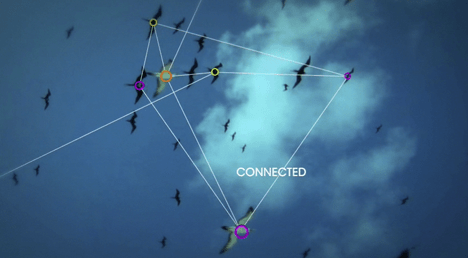 DPTV_CONNECTED