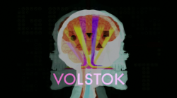 Volstok