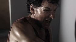 hornbach