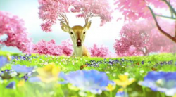 psyop_spring