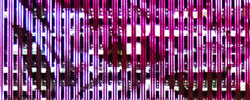 RobertSeidel_Scrape